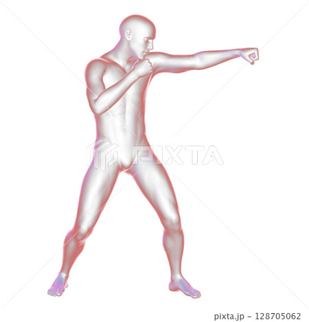 Anatomy of boxing sport, 3D illustration Anatomy of boxing sport, 3D illustration 128705062