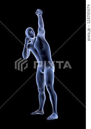 Anatomy of boxing sport, 3D illustration 128705074