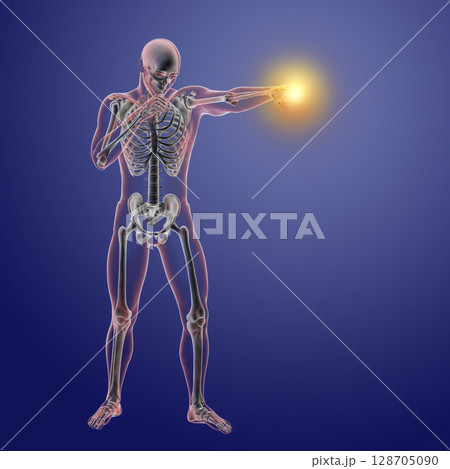 Anatomy of boxing sport, 3D illustration 128705090