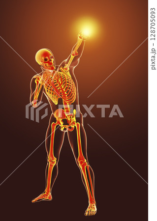 Anatomy of boxing sport, 3D illustration 128705093