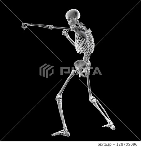 Anatomy of boxing sport, 3D illustration 128705096
