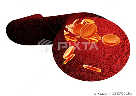 Blood vessel with erythrocytes 128705166