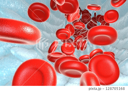 Blood vessel with erythrocytes 128705168