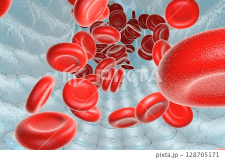 Blood vessel with erythrocytes Blood vessel with erythrocytes 128705171