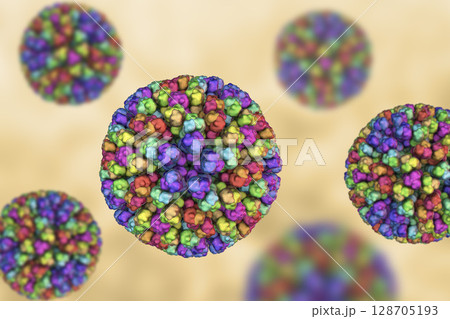 Bluetongue virus BTV 128705193