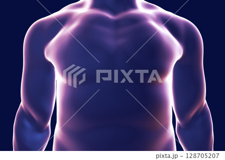 Human body silhouette, illustration Human body silhouette, illustration 128705207