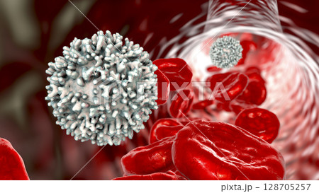 Lymphocyte cell inside blood vessel 128705257