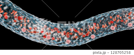 Blood vessel with flowing blood cells 128705258