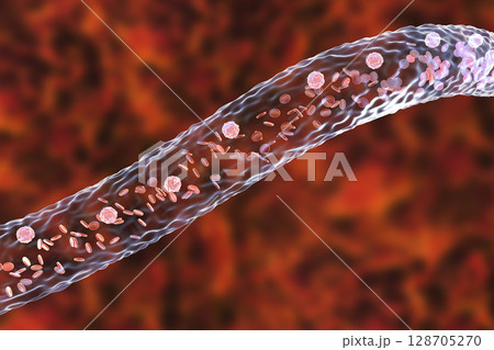 Blood vessel with flowing blood cells Blood vessel with flowing blood cells 128705270