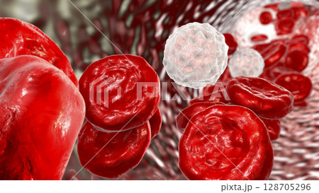 Blood flow, red blood cells and leukocytes Blood flow, red blood cells and leukocytes 128705296