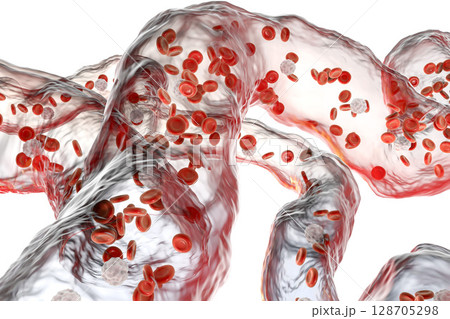 Blood vessels with flowing blood cells 128705298