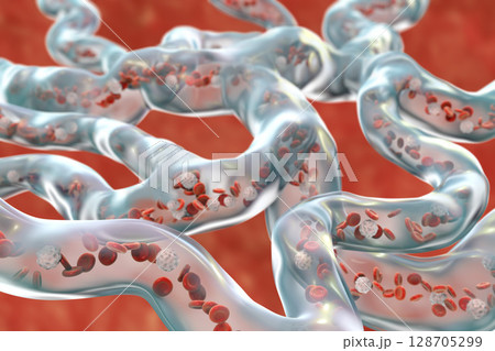 Blood vessels with flowing blood cells 128705299