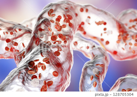 Blood vessels with flowing blood cells Blood vessels with flowing blood cells 128705304