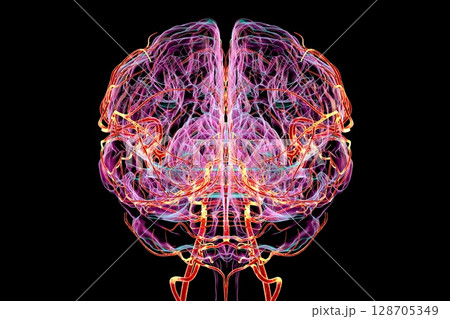 Brain arteries, 3D illustration 128705349