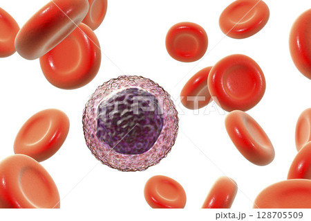 Lymphocyte surrounded by red blood cells 128705509