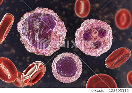 Monocyte, lymphocyte and neutrophil surrounded by red blood cells Monocyte, lymphocyte and neutrophil surrounded by red blood cells 128705516