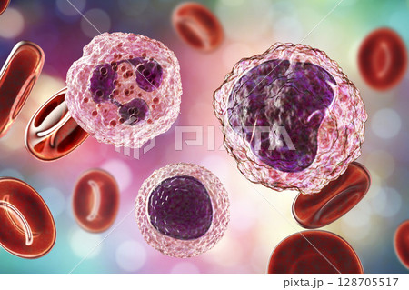 Monocyte, lymphocyte and neutrophil surrounded by red blood cells 128705517