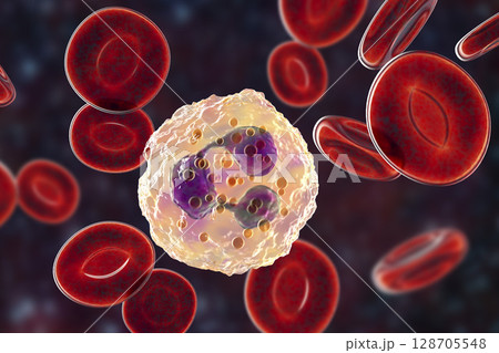 Neutrophil, a white blood cell Neutrophil, a white blood cell 128705548