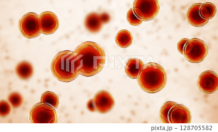 Blastomyces dermatitidis fungi 128705582