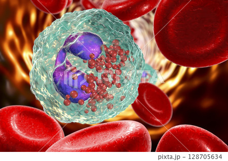 Eosinophil in blood, a white blood cell 128705634