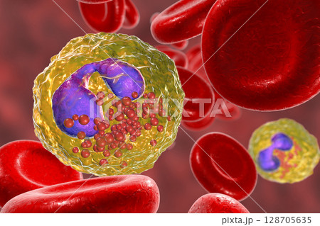 Eosinophil in blood, a white blood cell Eosinophil in blood, a white blood cell 128705635