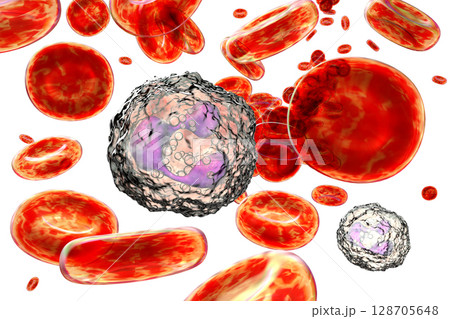 Neutrophil, a white blood cell 128705648