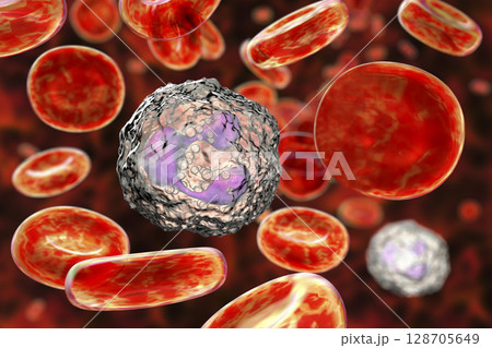 Neutrophil, a white blood cell 128705649