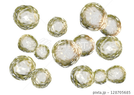 Blastomyces dermatitidis fungi, the causative agent of the disease blastomycosis 128705685