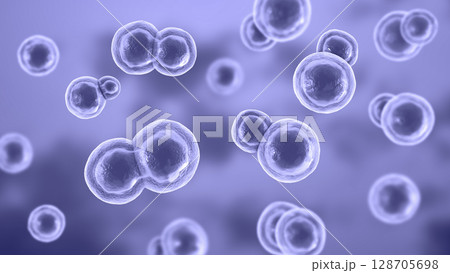 Blastomyces dermatitidis fungi 128705698