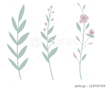 Vector illustration of pastel floral stems with leaves and flowers. Art of plants for botanical prints or children designs. Drawing of herbs for wedding invitations or baby shower greeting cards. 128705764