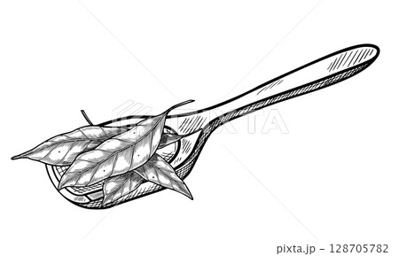 Vector illustration of a wooden Scoop with Bay and peppermint leaves for Herb packaging, culinary label design. Outline drawing painted by black inks in vintage botanical style for cookery book. Vector illustration of a wooden Scoop with Bay and peppermint leaves for Herb packaging, culinary label design. Outline drawing painted by black inks in vintage botanical style for cookery book. 128705782