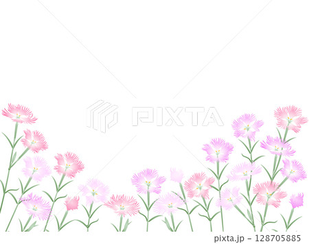 撫子・横長 128705885