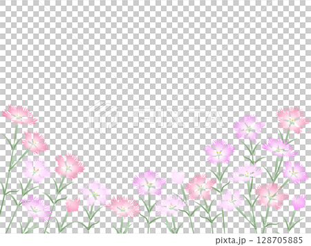 撫子・横長 128705885