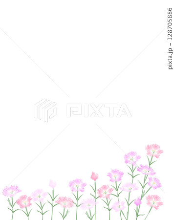 撫子・縦長 128705886