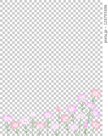 撫子・縦長 128705886