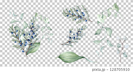 Watercolor delicate clipart of juniper branches isolated. Foliage of curly vine and twigs hand drawn in sage green. Greenery set of leaves, coniferous for nature design, wedding stationary. 128705910