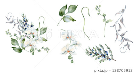White orchids, eucalyptus and juniper in pastel tones watercolor clipart isolated. Floral set of coniferous branch, white flowers hand drawn. Greenery design in soft sage green for packaging, invite White orchids, eucalyptus and juniper in pastel tones watercolor clipart isolated. Floral set of coniferous branch, white flowers hand drawn. Greenery design in soft sage green for packaging, invite 128705912