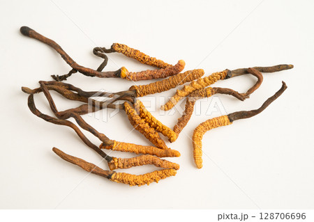 Cordyceps sinensis or Ophiocordyceps sinensis isolated on white background, mushroom herb treatment medicine. 128706696
