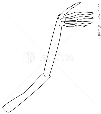 cute Halloween cartoon elements in Skeleton and flower theme cute Halloween cartoon elements in Skeleton and flower theme 128706827