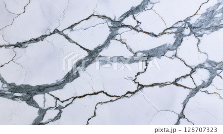 White Marble with Dramatic Dark Veins for Luxury Designs 128707323