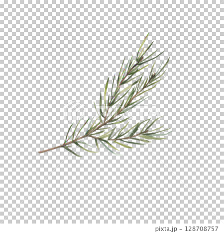 Christmas green spruce watercolor illustration. Isolated evergreen branch and fir clipart, New year and winter season floral decor for poster, card, banner design. Forest natural botanical element Christmas green spruce watercolor illustration. Isolated evergreen branch and fir clipart, New year and winter season floral decor for poster, card, banner design. Forest natural botanical element 128708757