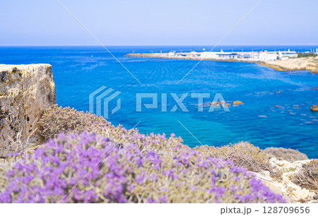 キプロス島の青い海と空と紫色の花の写真 128709656