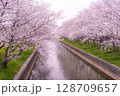満開の川沿い散歩道 128709657