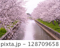 満開の川沿い散歩道 128709658