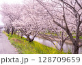 満開の川沿い散歩道 128709659