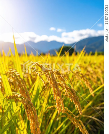 《AI画像》黄金色に輝く稲穂 128710553