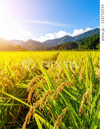 《AI画像》黄金色に輝く稲穂 《AI画像》黄金色に輝く稲穂 128710554