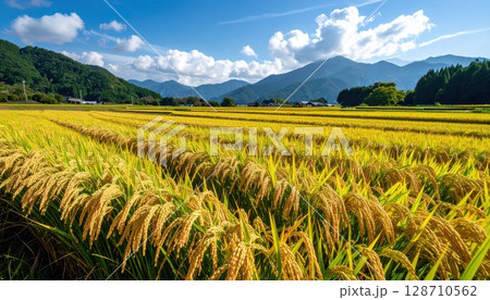 《AI画像》黄金色に輝く稲穂 128710562