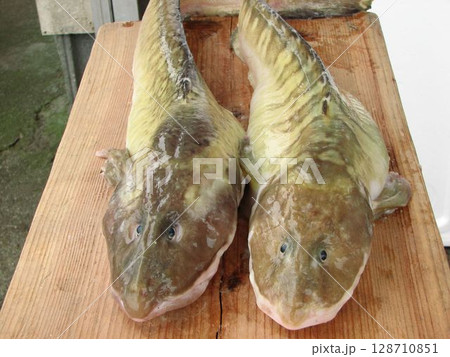 深海魚ババア 128710851
