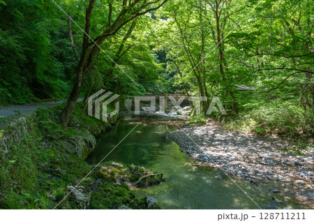 夏の帝釈峡、緑に包まれた清流と木漏れ日の渓谷風景 夏の帝釈峡、緑に包まれた清流と木漏れ日の渓谷風景 128711211